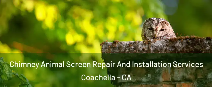  Chimney Animal Screen Repair And Installation Services Coachella - CA