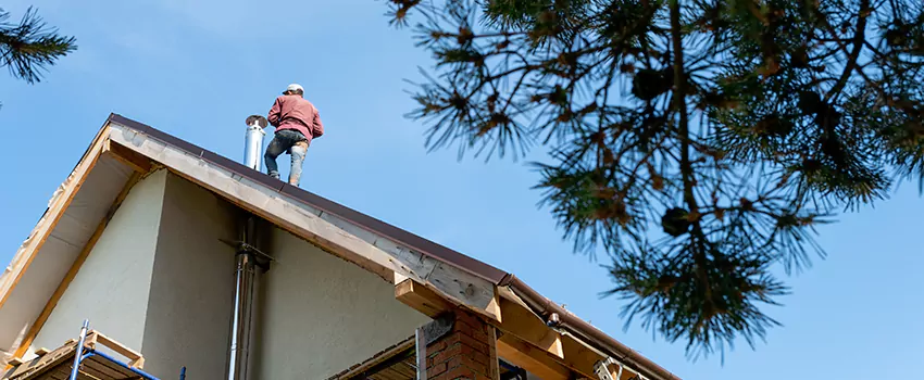 Birds Removal Contractors from Chimney in Coachella, CA